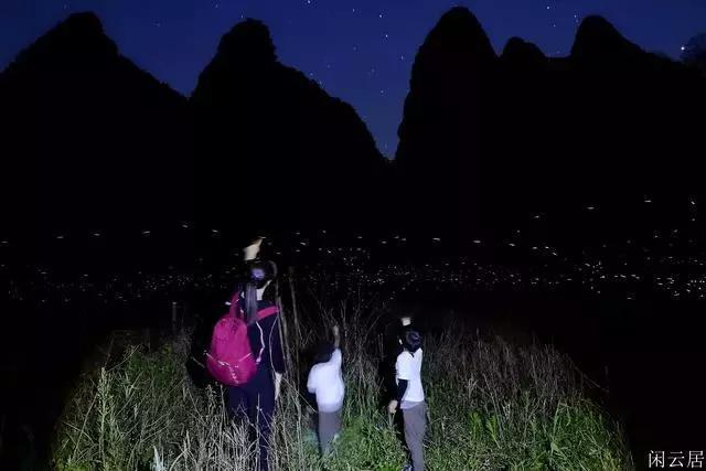 济南代表团举行全体会议审议省政府工作报告 刘强范华平王桂英于海田韩金峰出席