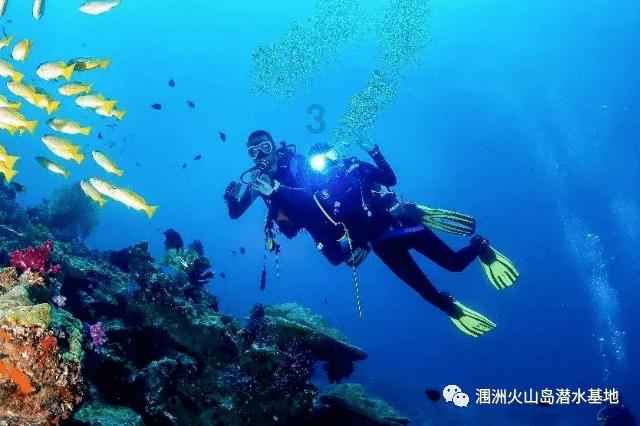 探索新疆四十四中附近有二年级奥数班吗| 新疆四十四中附近有二年级奥数班吗红迪网