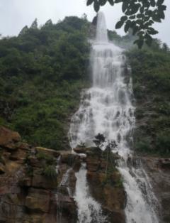 春雨直播app