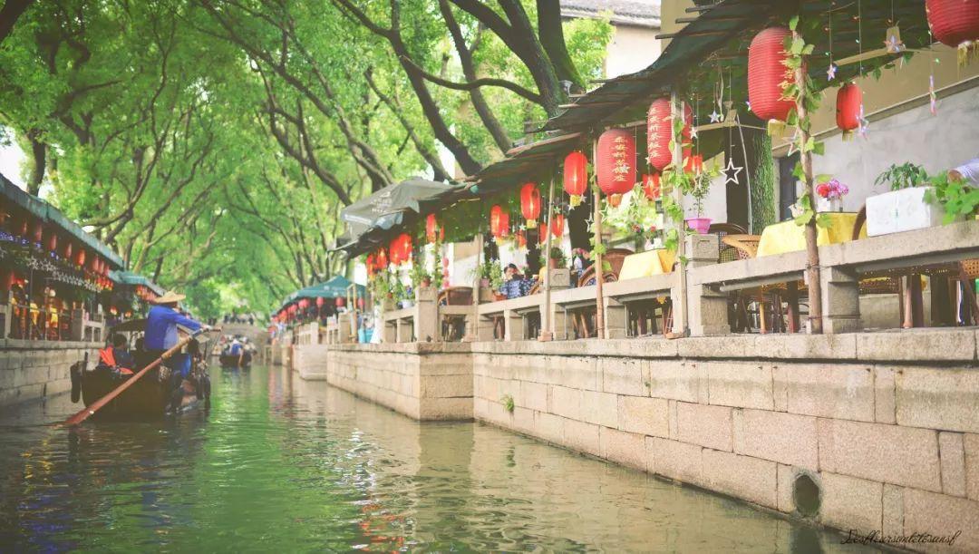 温州代表团继续审议省政府工作报告
