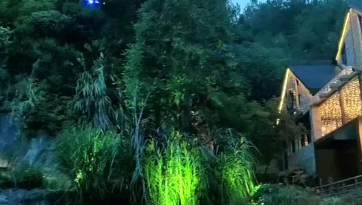 解惑蜗牛-